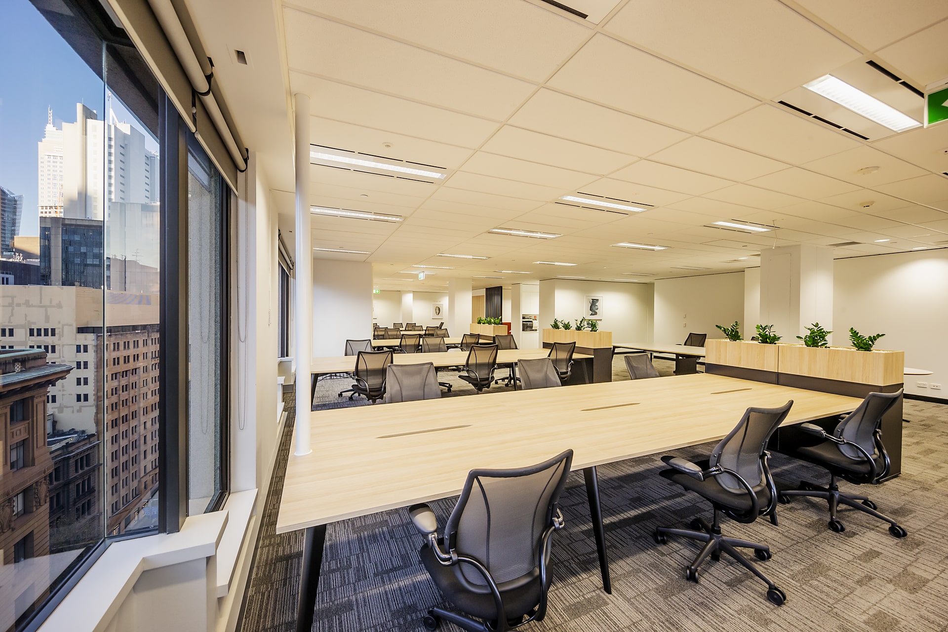Commercial Office Space for Lease, Sydney Place